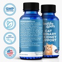 bestlife4pets-cat-uti-remedy-kidney-supp-4.jpg