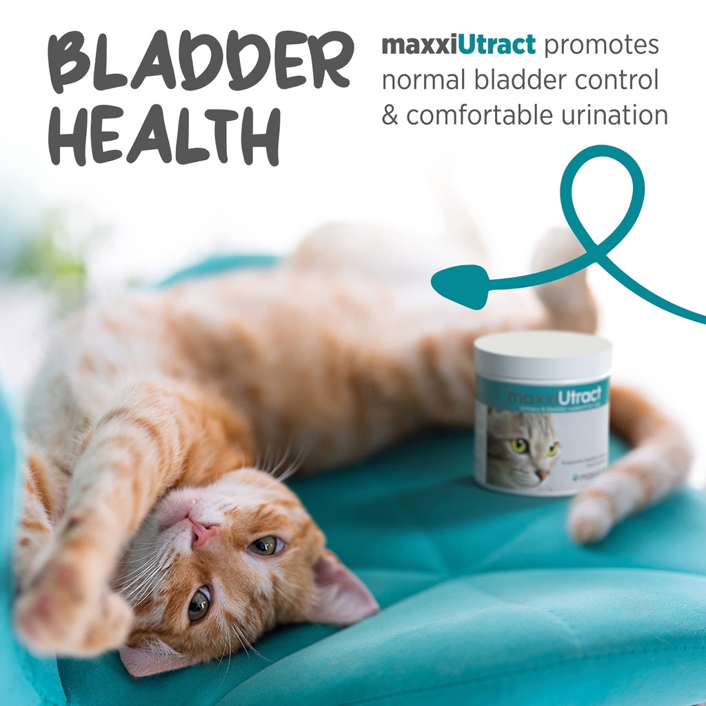 maxxipaws-maxxiutract-urinary-bladder-po-5.jpg