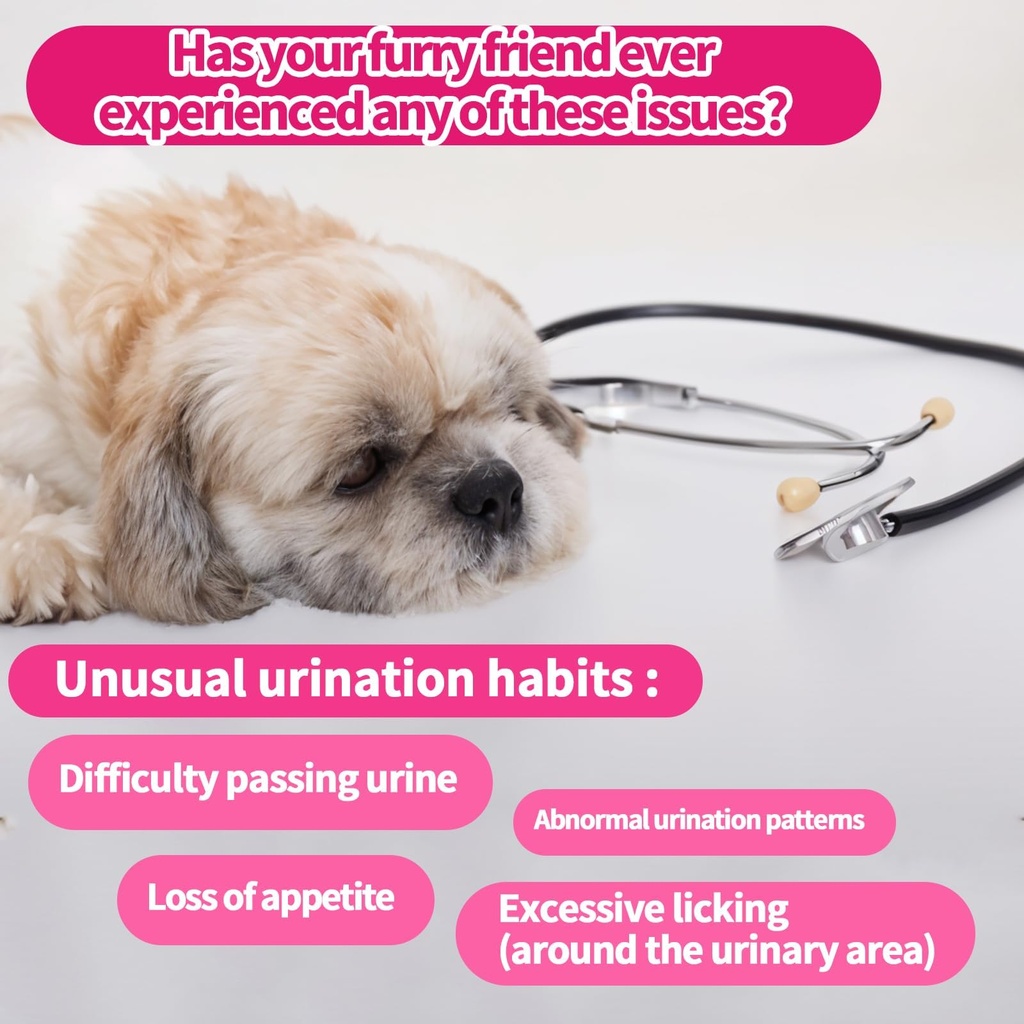 cranberry-for-dogs-dog-urinary-tract-bla-2.jpg
