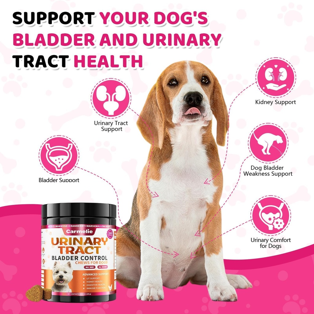 cranberry-for-dogs-dog-urinary-tract-bla-5.jpg