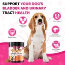 cranberry-for-dogs-dog-urinary-tract-bla-5.jpg