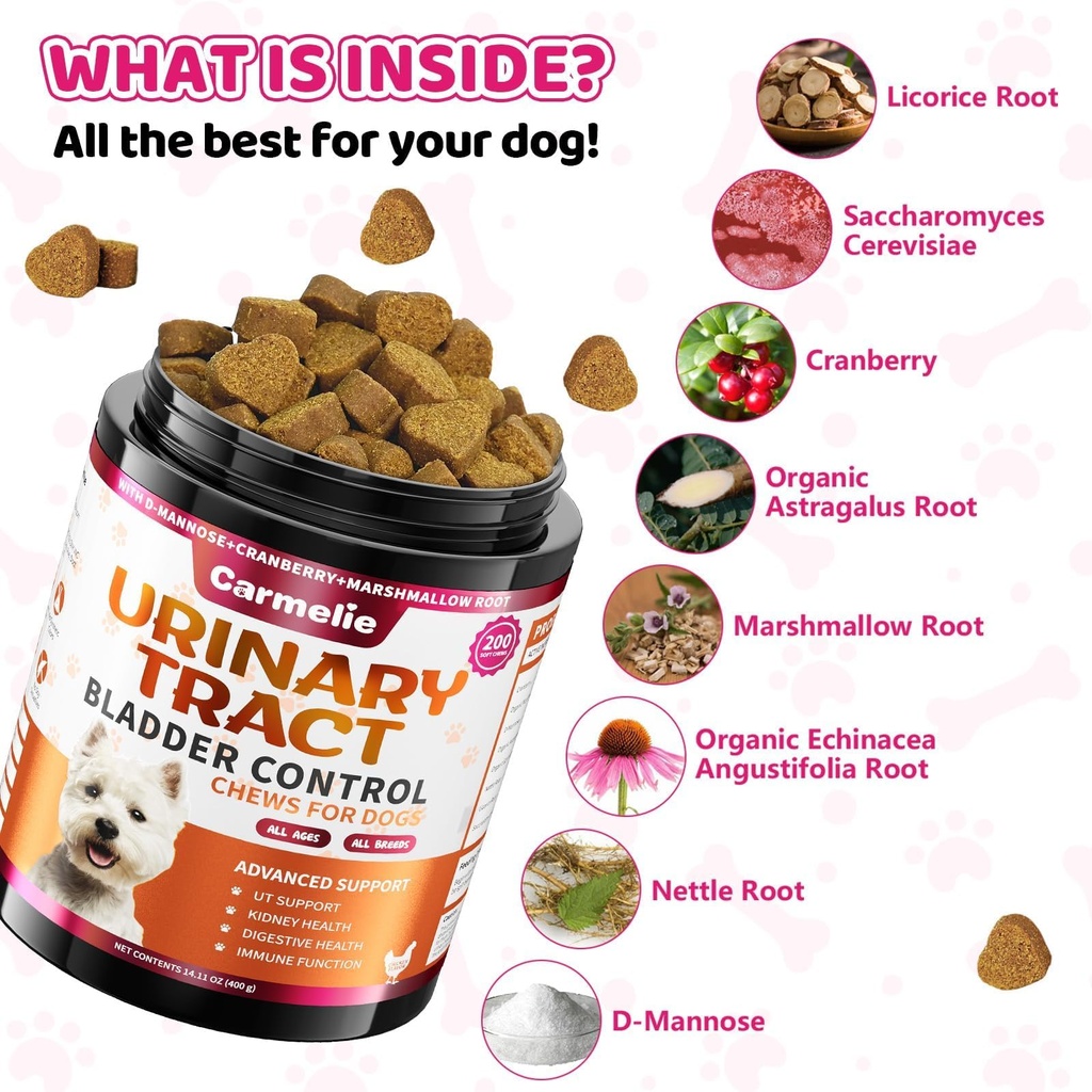 cranberry-for-dogs-dog-urinary-tract-bla-4.jpg