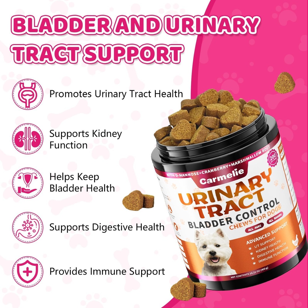 cranberry-for-dogs-dog-urinary-tract-bla-3.jpg