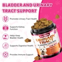 cranberry-for-dogs-dog-urinary-tract-bla-3.jpg