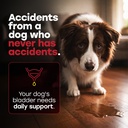 urinary-tract-supplement-for-dogs-cranbe-3.jpg