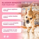 cranberry-chews-for-dogs-bladder-support-5.jpg