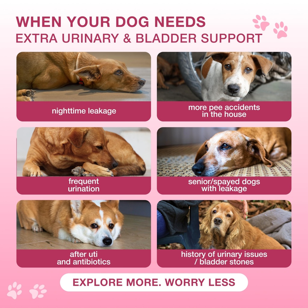 cranberry-chews-for-dogs-bladder-support-2.jpg