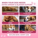 cranberry-chews-for-dogs-bladder-support-2.jpg