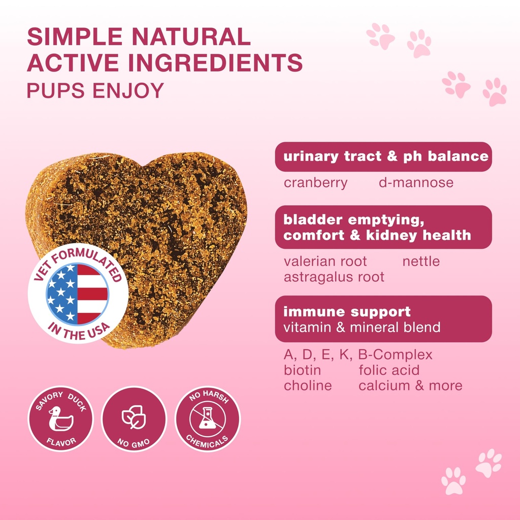 cranberry-chews-for-dogs-bladder-support-3.jpg