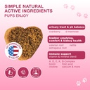cranberry-chews-for-dogs-bladder-support-3.jpg