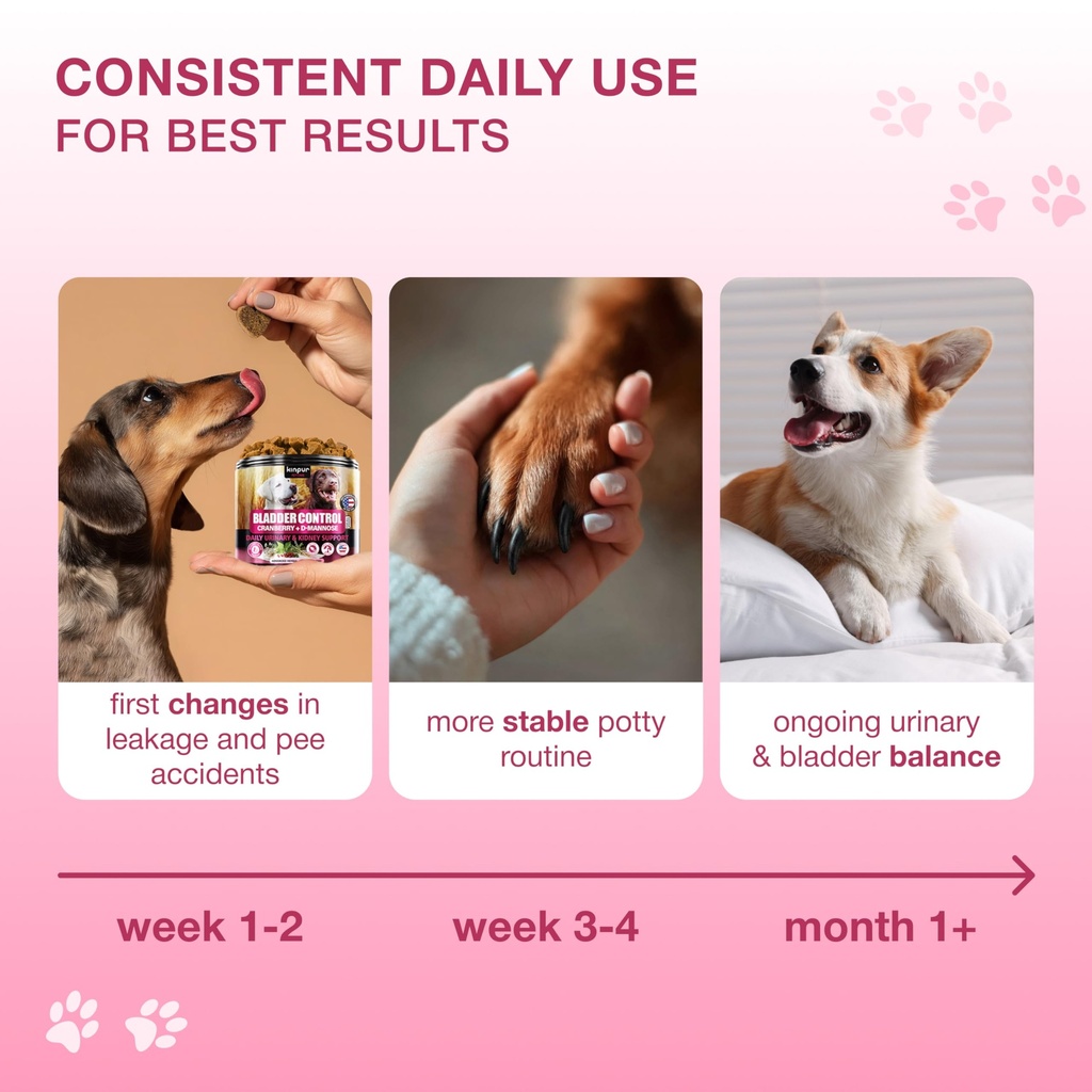 cranberry-chews-for-dogs-bladder-support-6.jpg