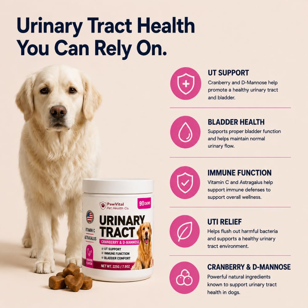 dog-uti-support-chews-cranberry-suppleme-2.jpg