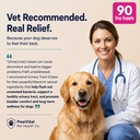 dog-uti-support-chews-cranberry-suppleme-6.jpg