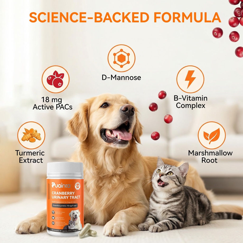 cranberry-urinary-tract-support-for-dogs-2.jpg