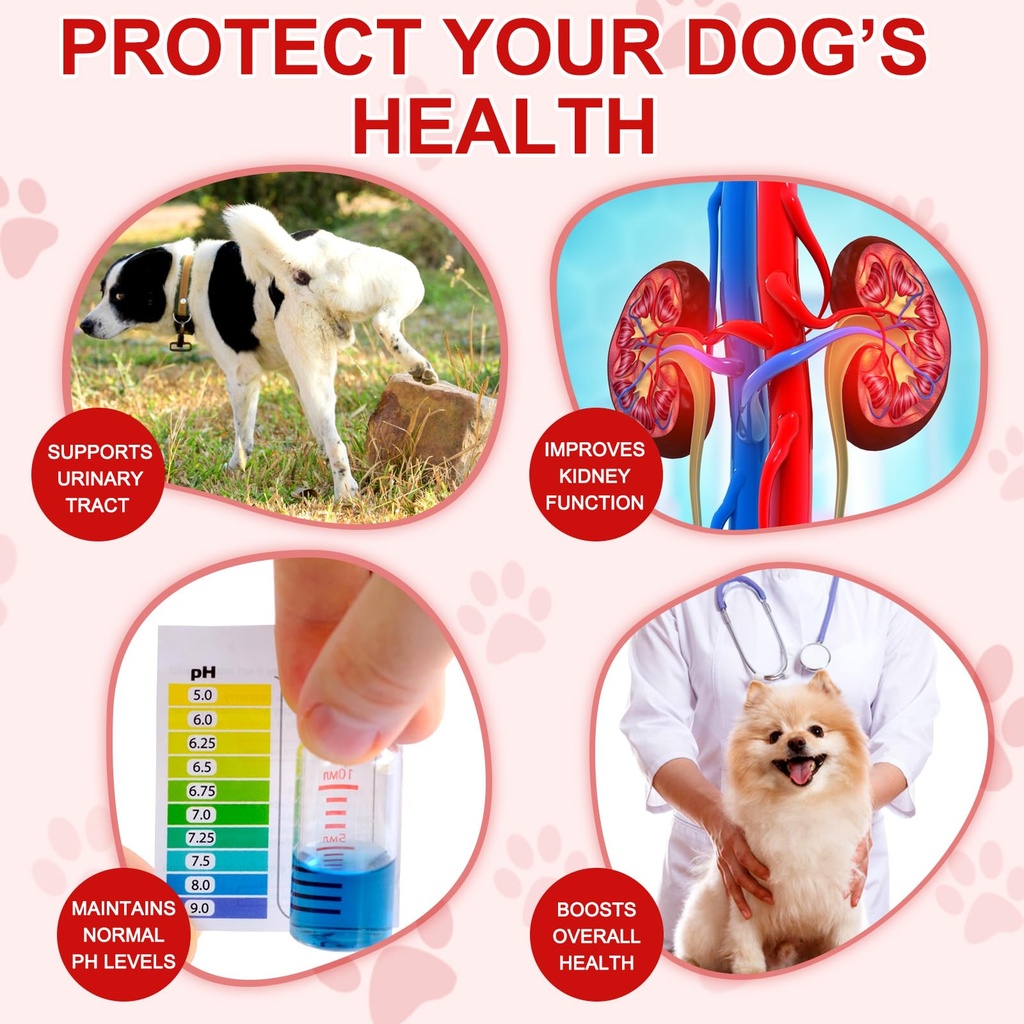 cranberry-supplement-for-dogs-uti-bladde-3.jpg