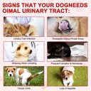 cranberry-supplement-for-dogs-uti-bladde-5.jpg