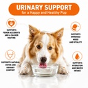 cranberry-supplement-for-dogs-soft-chew--4.jpg