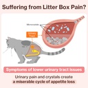ut-care-cat-uti-kidney-support-urinary-s-4.jpg