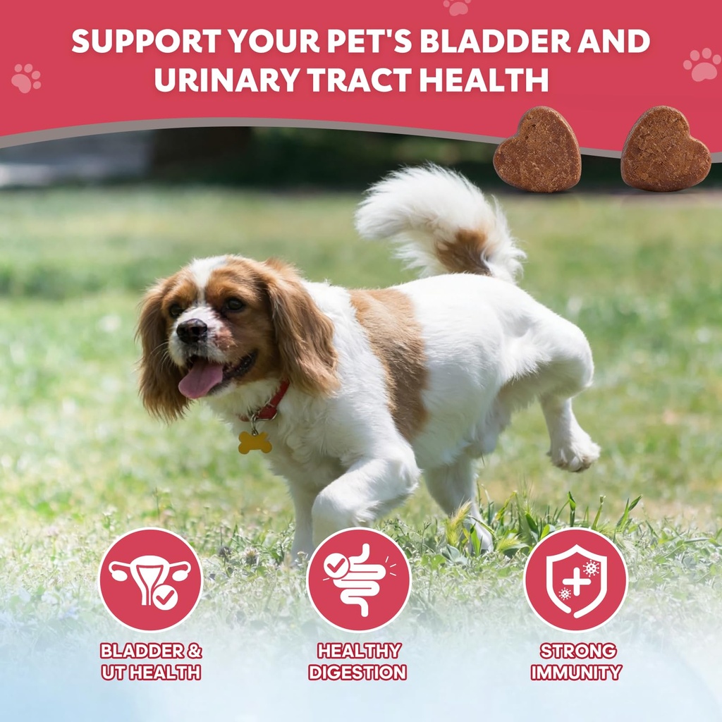 dog-uti-treatment-cranberry-chews-for-do-5.jpg
