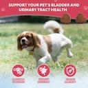 dog-uti-treatment-cranberry-chews-for-do-5.jpg