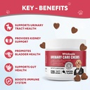 dog-uti-treatment-cranberry-chews-for-do-3.jpg