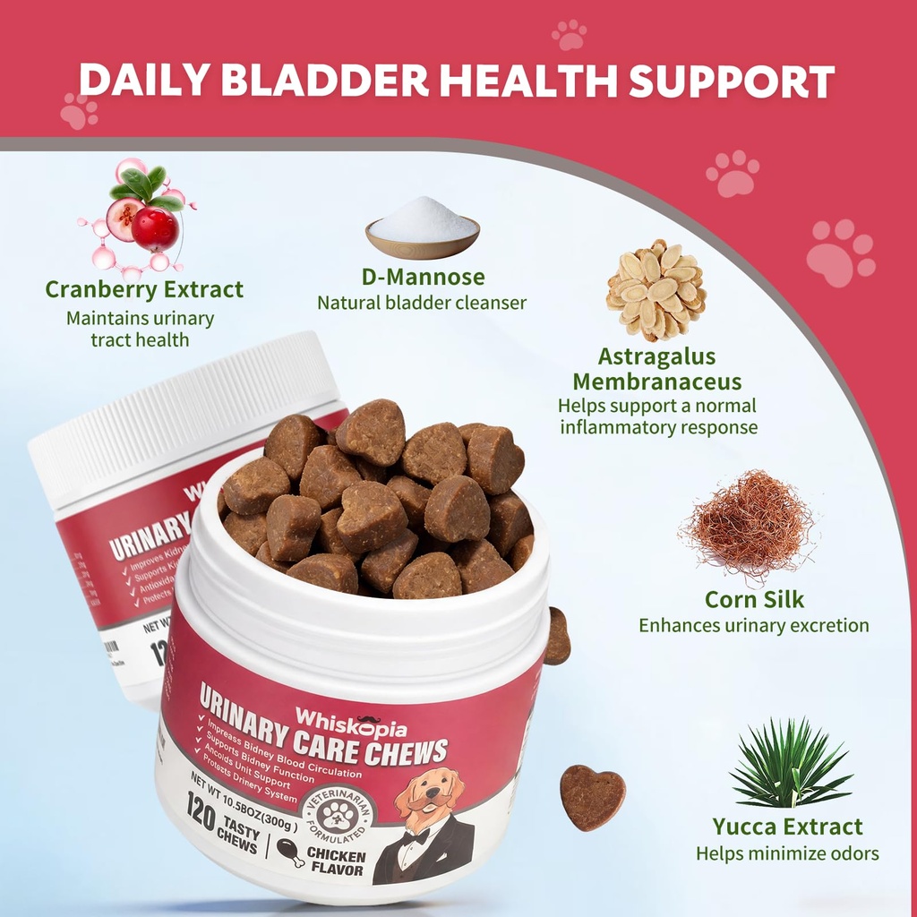 dog-uti-treatment-cranberry-chews-for-do-2.jpg