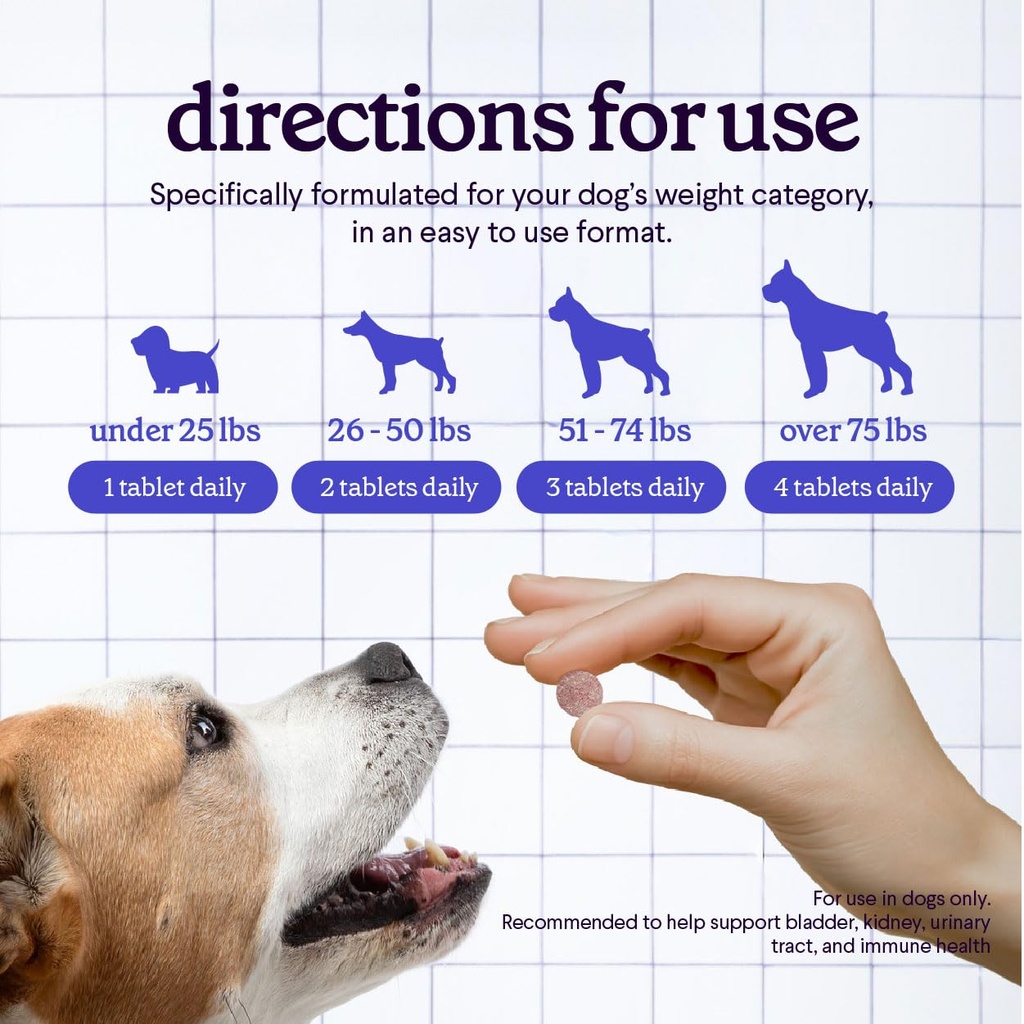 premium-cranberry-for-dogs-supplement-12-5.jpg