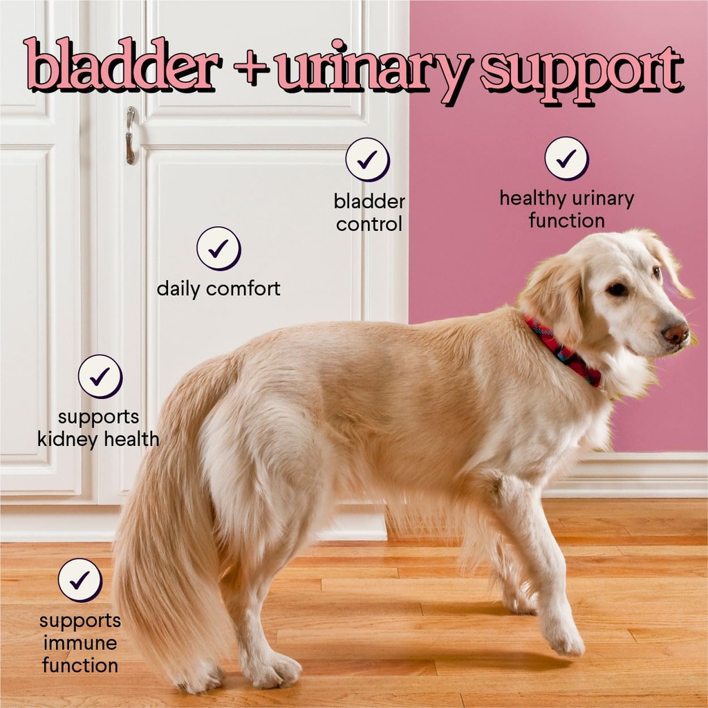 premium-cranberry-for-dogs-supplement-12-4.jpg