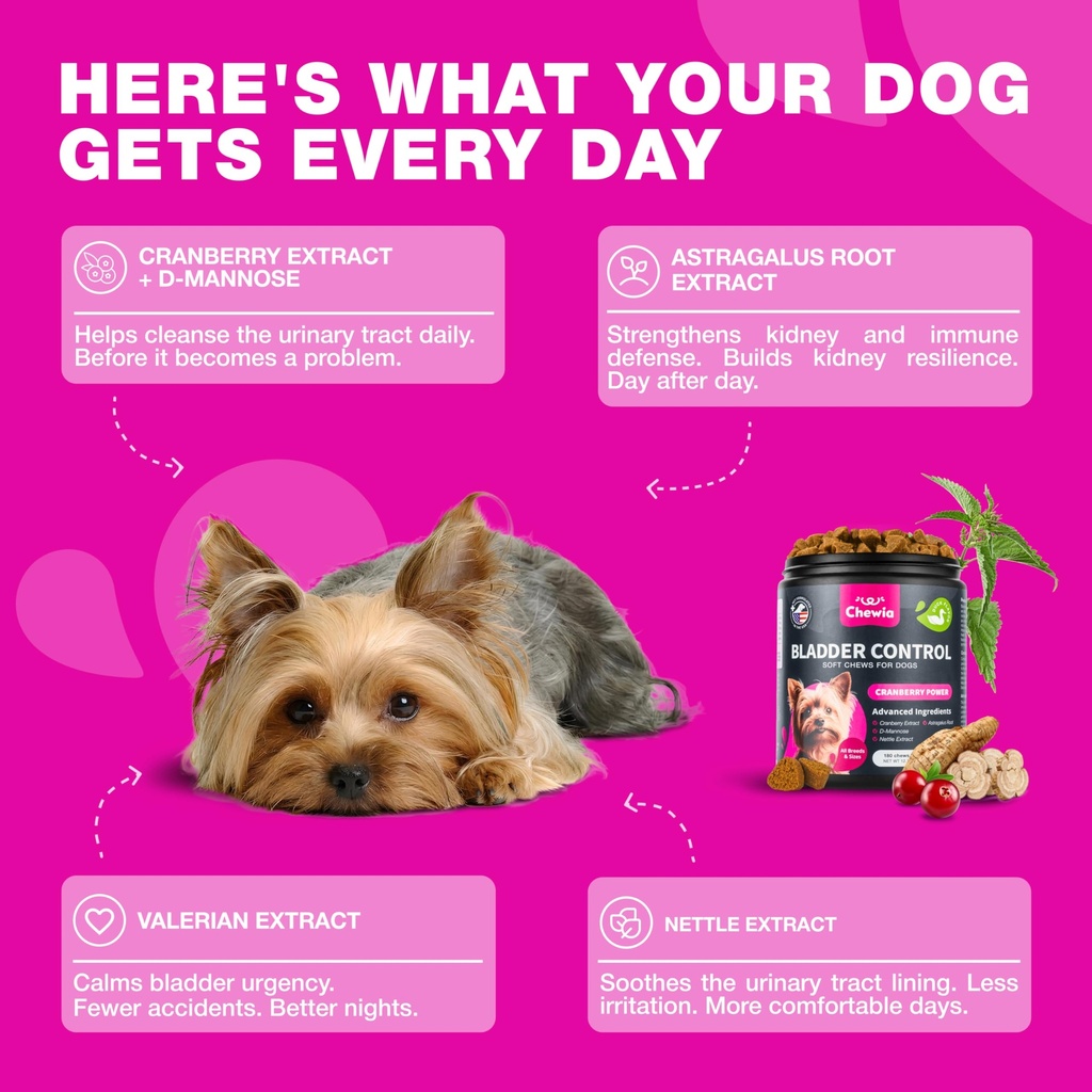 dog-uti-treatment-cranberry-chews-bladde-4.jpg
