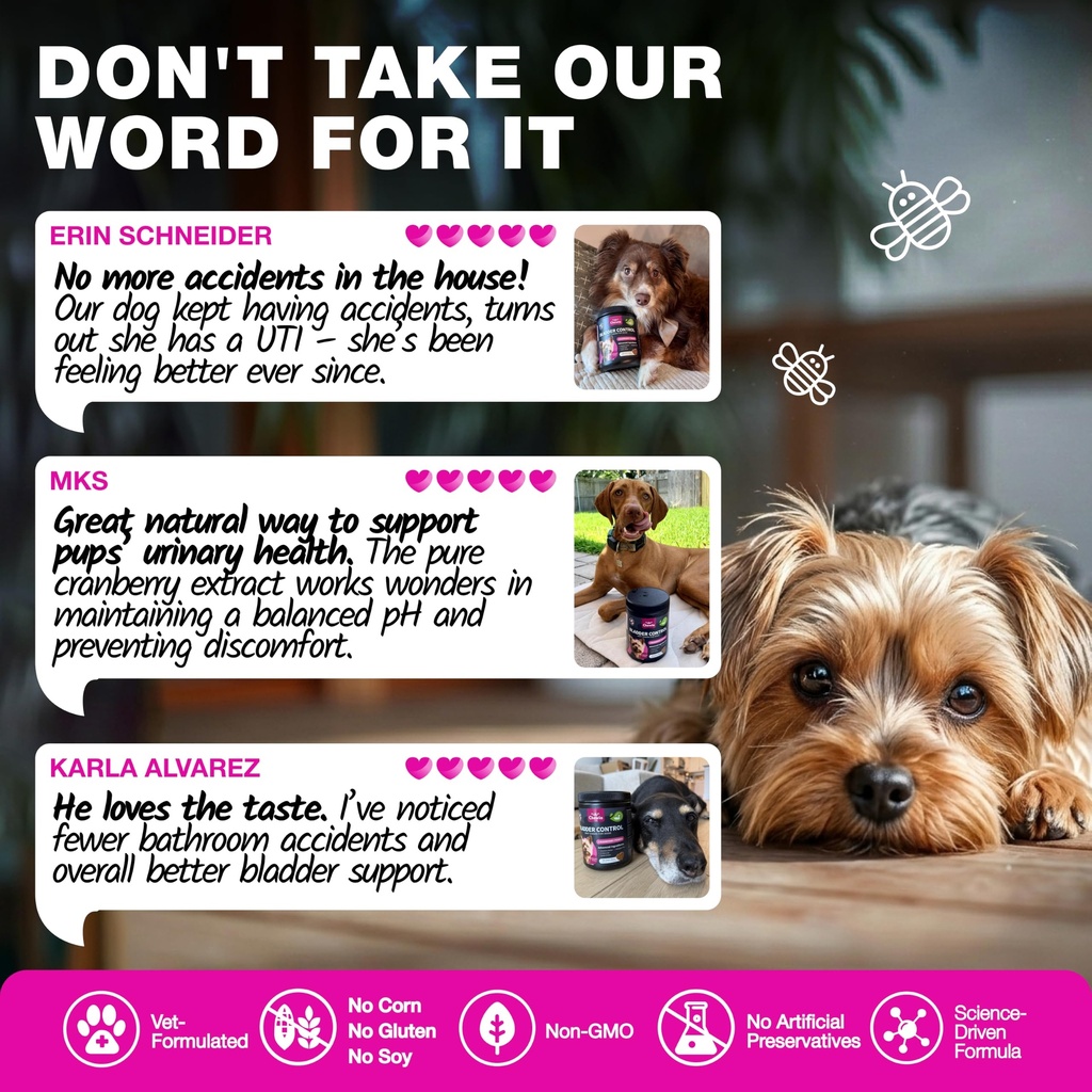 dog-uti-treatment-cranberry-chews-bladde-3.jpg