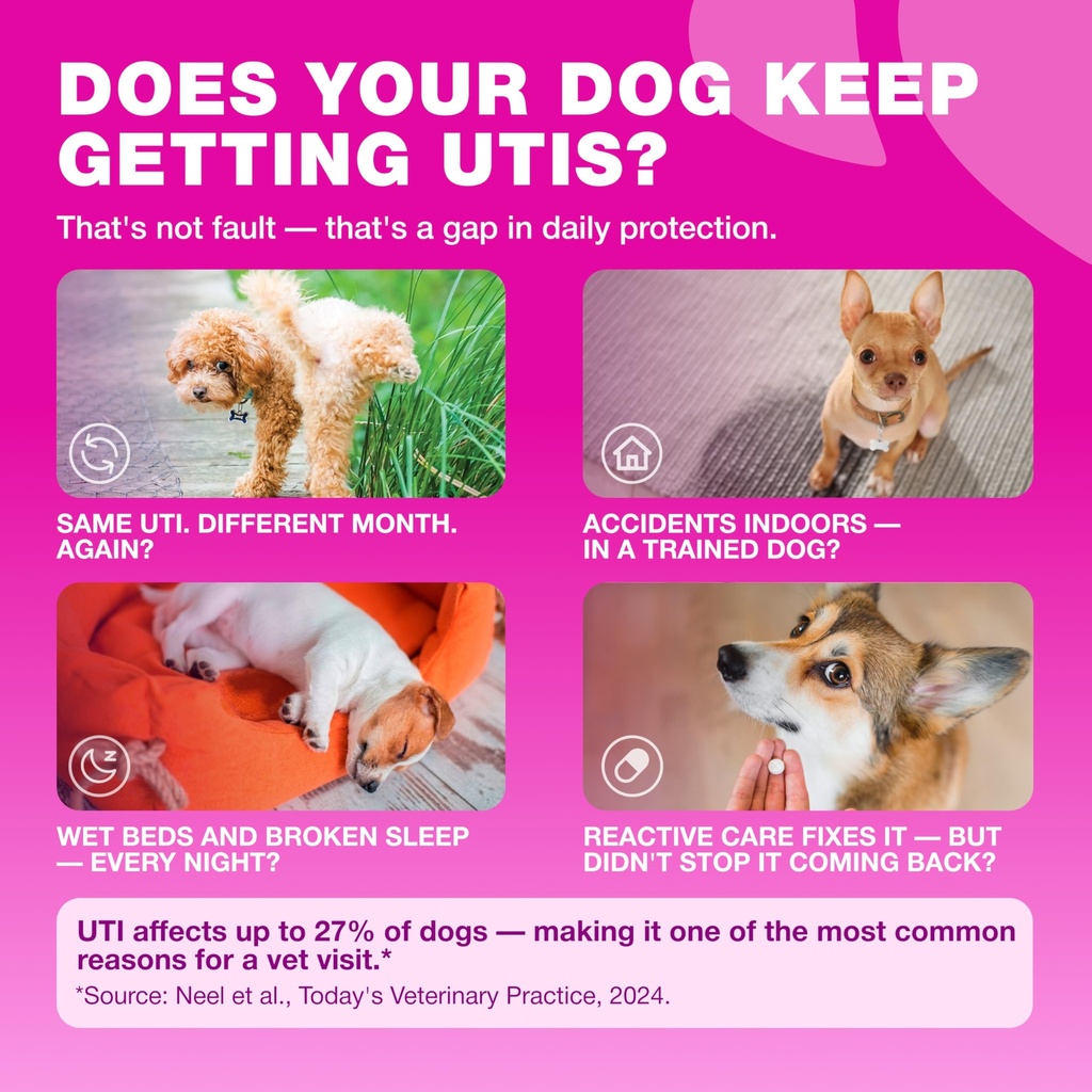dog-uti-treatment-cranberry-chews-bladde-2.jpg