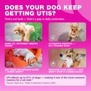 dog-uti-treatment-cranberry-chews-bladde-2.jpg