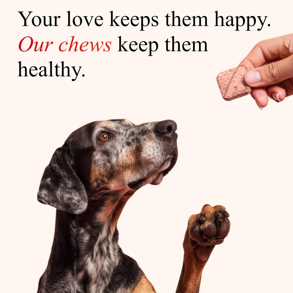 cranberry-chews-for-dogs-uti-support-bla-6.jpg