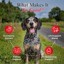cranberry-chews-for-dogs-uti-support-bla-2.jpg