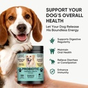 probiotics-for-dogs-gut-digestive-health-2.jpg