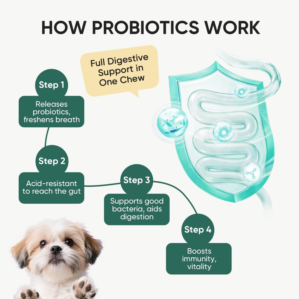 probiotics-for-dogs-gut-digestive-health-4.jpg