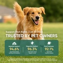 probiotics-for-dogs-gut-digestive-health-6.jpg