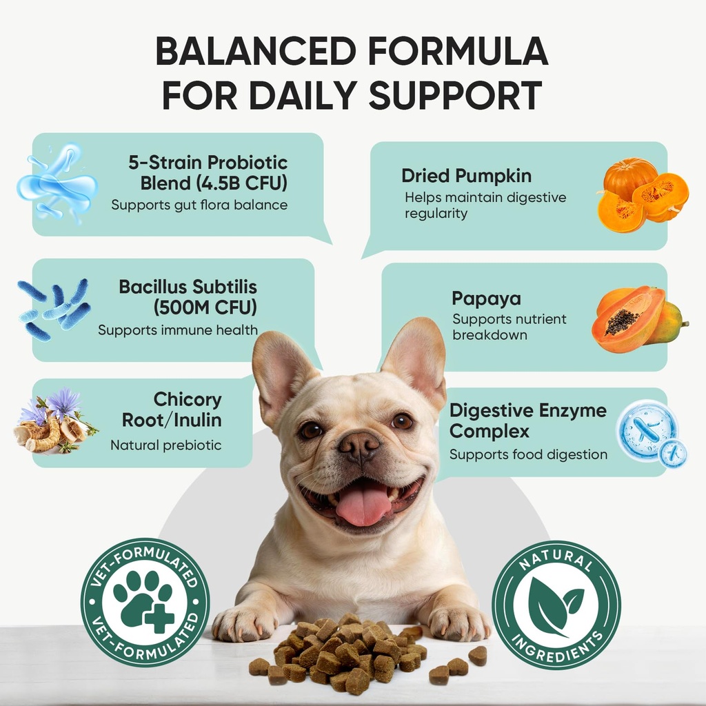 probiotics-for-dogs-gut-digestive-health-3.jpg