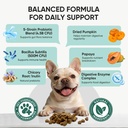 probiotics-for-dogs-gut-digestive-health-3.jpg