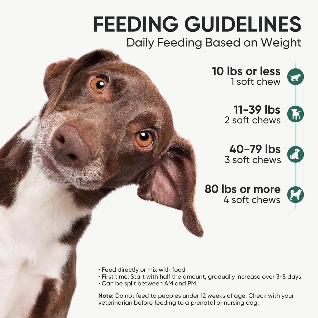 probiotics-for-dogs-gut-digestive-health-5.jpg
