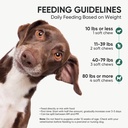 probiotics-for-dogs-gut-digestive-health-5.jpg