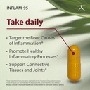 inflam-95-ginger-root-extract-2-000-mg-c-3.jpg