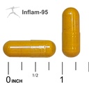 inflam-95-ginger-root-extract-2-000-mg-c-5.jpg