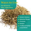 25-lb-bulk-sweet-wormwood-herb-artemisia-4.jpg