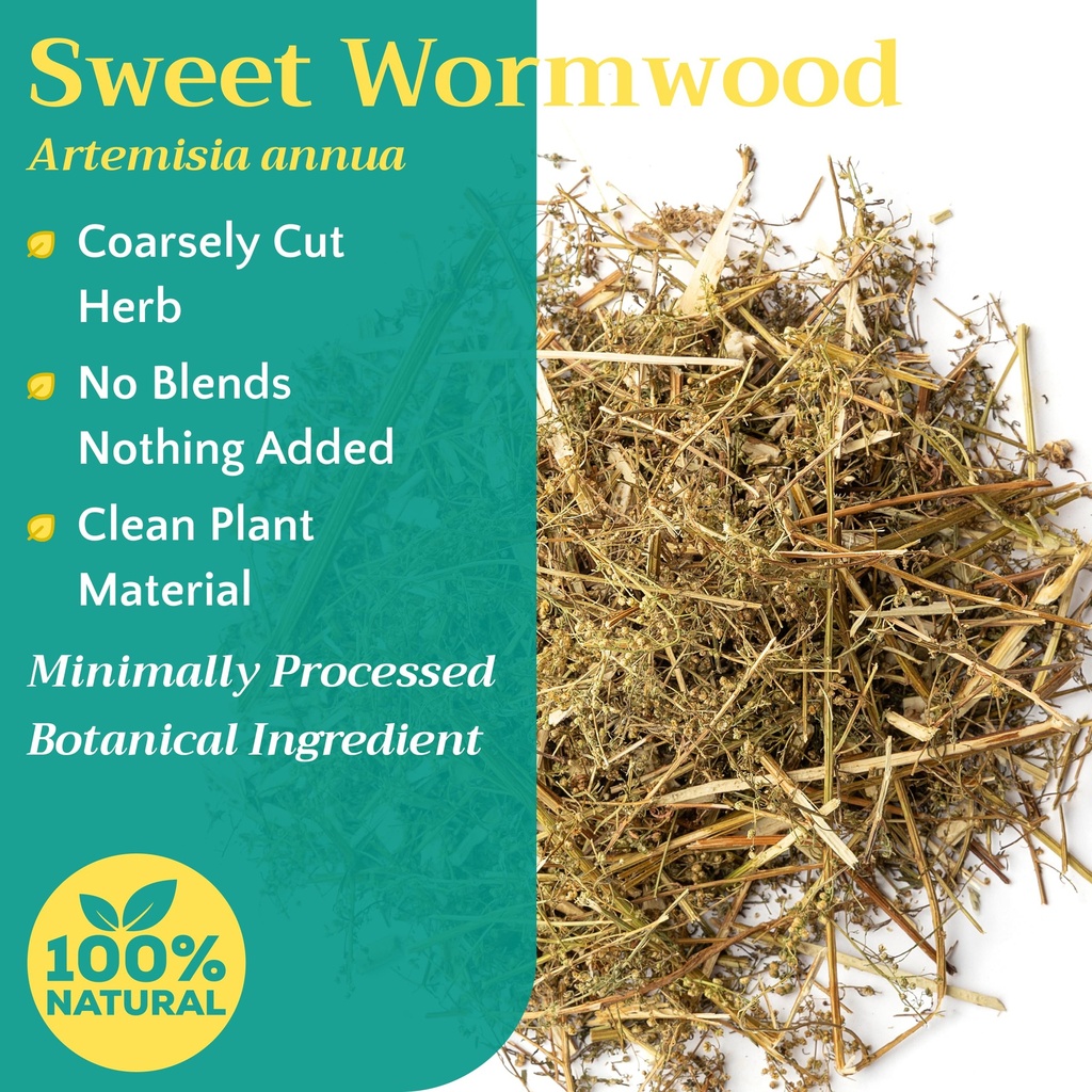 25-lb-bulk-sweet-wormwood-herb-artemisia-2.jpg