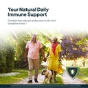 immune-support-bundle-japanese-knotweed--4.jpg