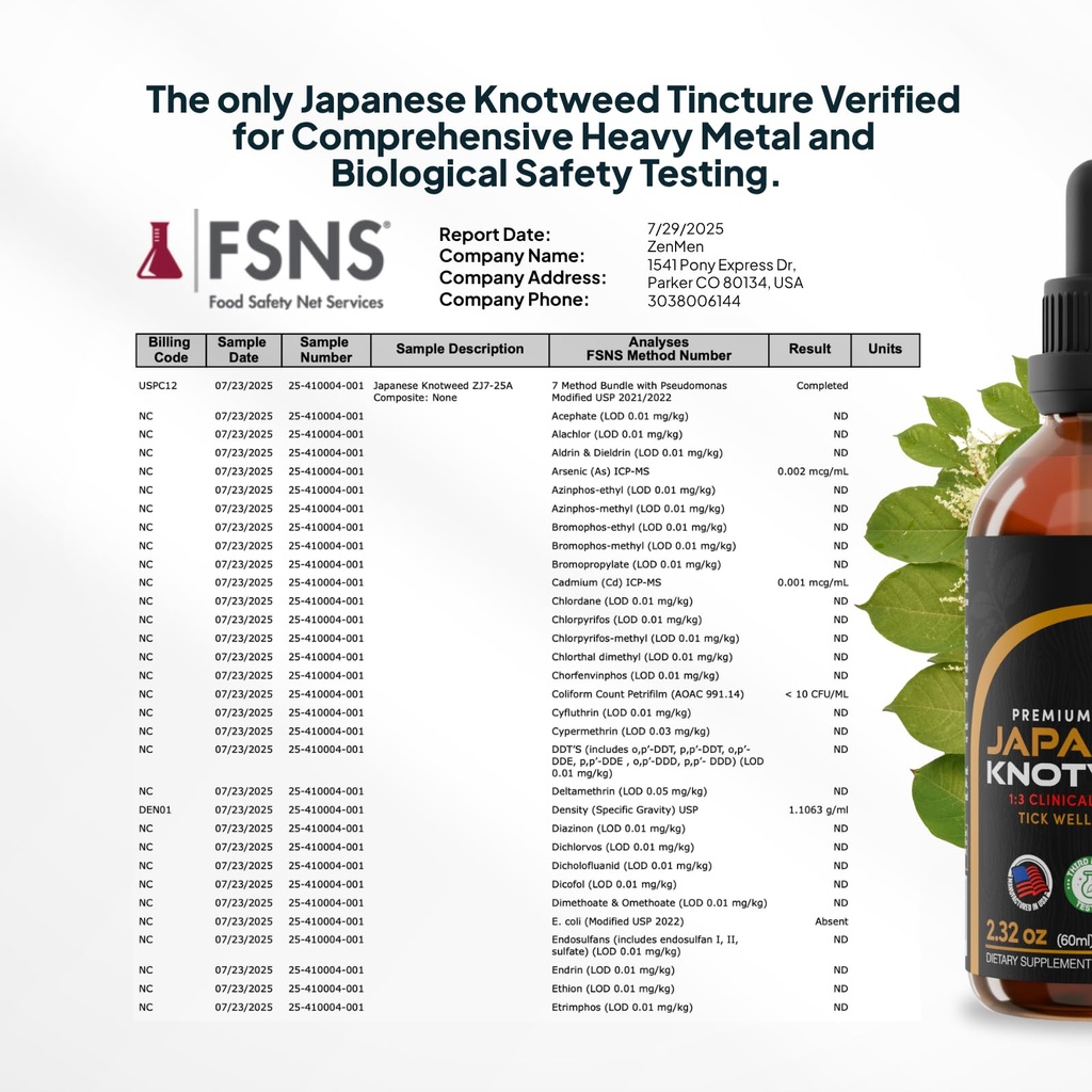 immune-support-bundle-japanese-knotweed--6.jpg