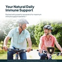 immune-support-bundle-japanese-knotweed--2.jpg