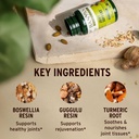 banyan-botanicals-organic-joint-support--4.jpg