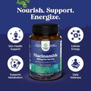 bundle-of-pure-vitamin-b3-niacinamide-fo-4.jpg